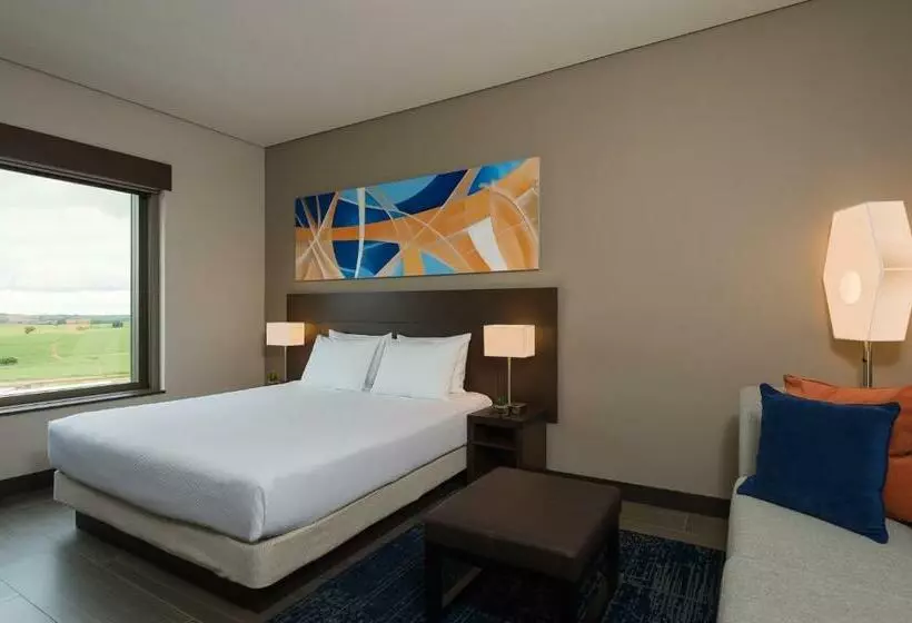 キングサイズベッドのスタンダードルーム, Hyatt Place Sao Jose Do Rio Preto