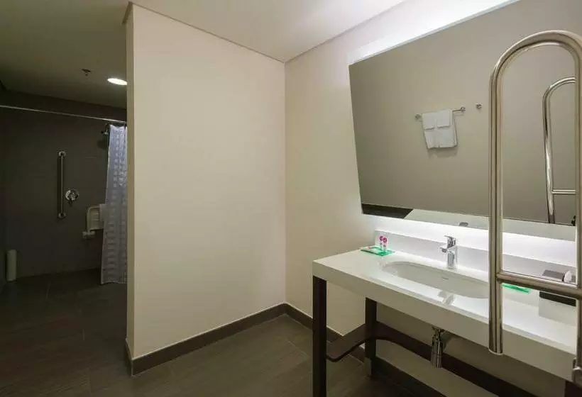 身障者適用スタンダードルーム, Hyatt Place Sao Jose Do Rio Preto