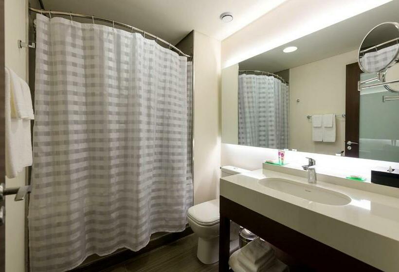 Номер Стандарт Кровать Кинг Адаптированный для Инвалидов, Hyatt Place Sao Jose Do Rio Preto