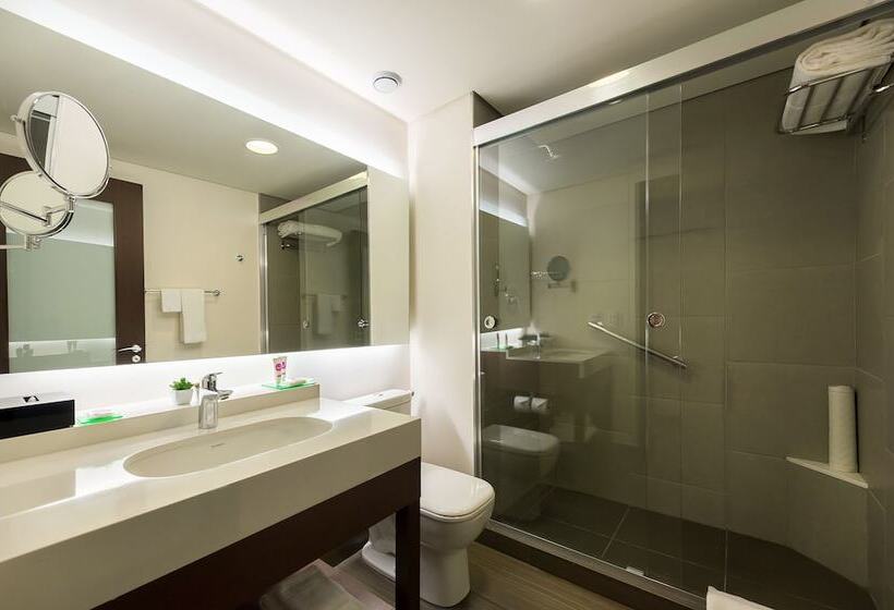 Стандартный Номер Кровать Кинг, Hyatt Place Sao Jose Do Rio Preto