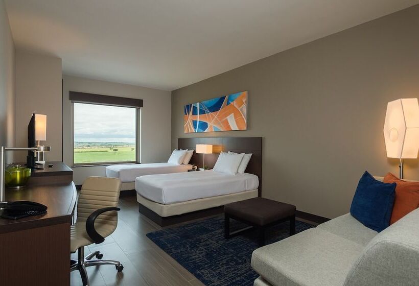 Номер Стандарт Адаптированный для Инвалидов, Hyatt Place Sao Jose Do Rio Preto