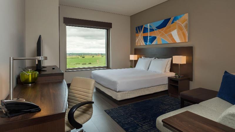 Стандартный Номер Кровать Кинг, Hyatt Place Sao Jose Do Rio Preto