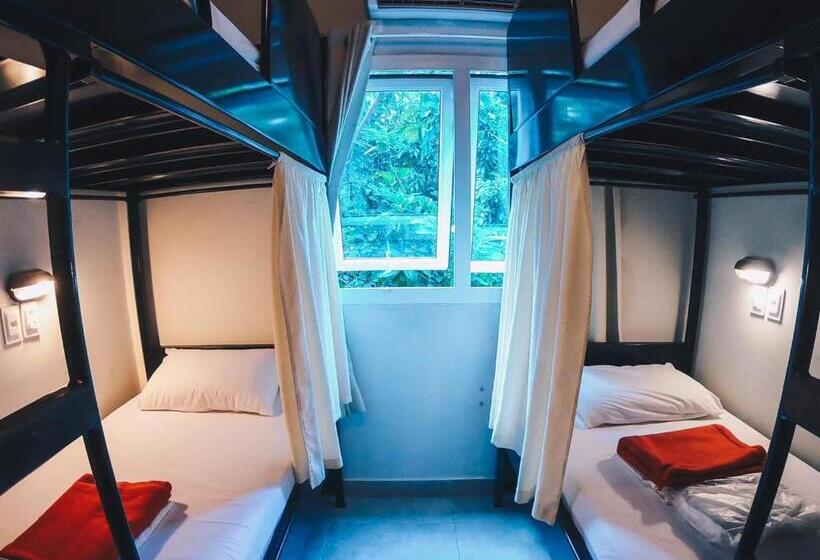 Кровать в Общей Комнате, Cabanacopa Hostel