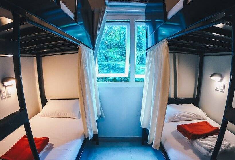 Кровать в Общей Комнате, Cabanacopa Hostel