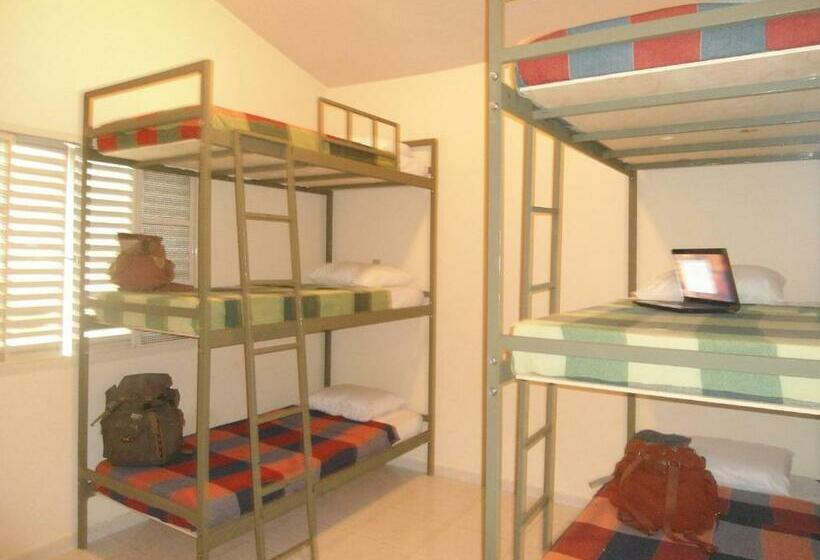 מיטה בחדר משותף, Casamatta Hostel