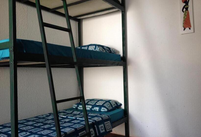 מיטה בחדר משותף, Casamatta Hostel