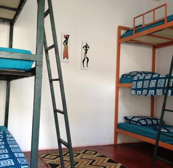 공용 욕실 구비 공동 객실 내의 침대, Casamatta Hostel