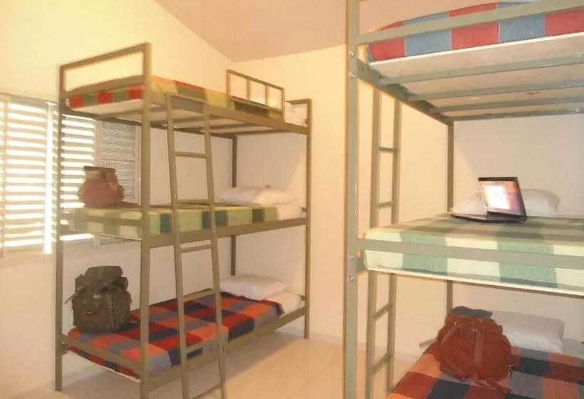 共同バス付シェアルーム, Casamatta Hostel