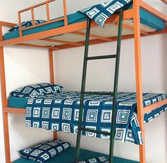 공용 욕실 구비 공동 객실 내의 침대, Casamatta Hostel