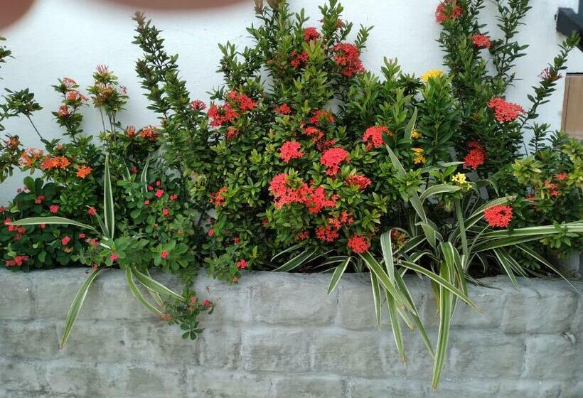 スタンダードルーム, Pousada Terra De Minas