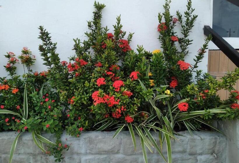 スタンダードトリプルルーム, Pousada Terra De Minas