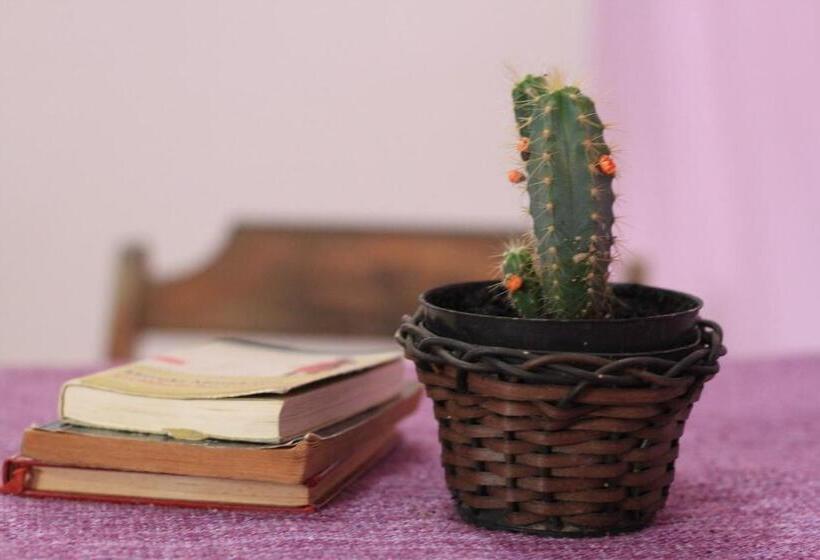 سوئیت با بالکن, Rio Way Beach