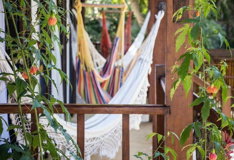 סוויטה, Planeta Banana Paraty