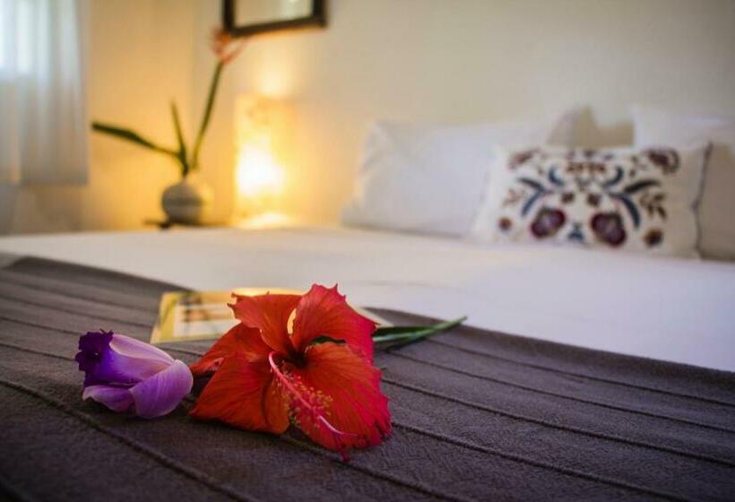 Номер Deluxe, Planeta Banana Paraty