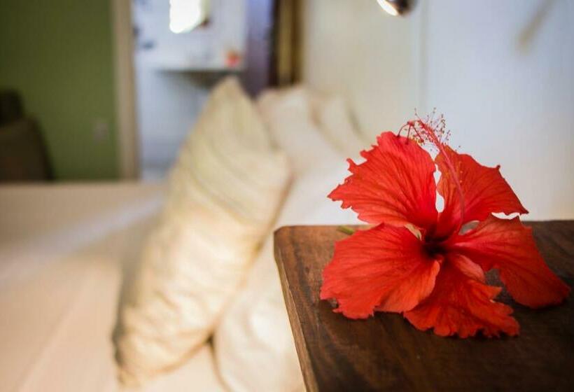 חדר דלוקס, Planeta Banana Paraty