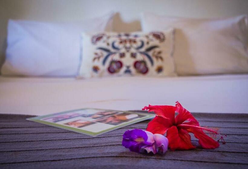 חדר דלוקס, Planeta Banana Paraty