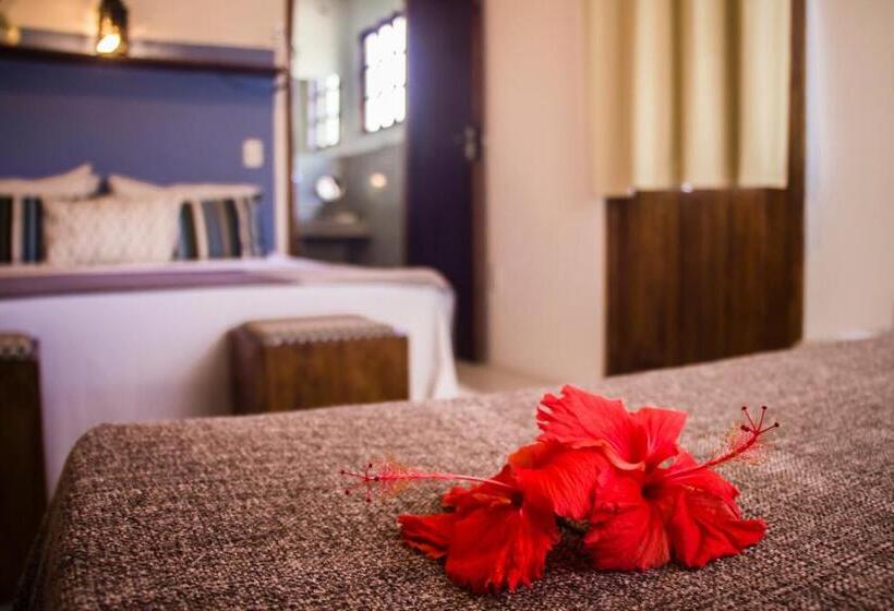 סוויטה דלוקס, Planeta Banana Paraty