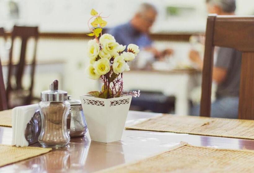 Номер Стандарт, Municipal