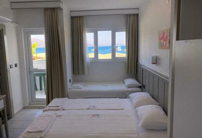 オーシャンビュースタンダードルームバルコニー付き, Turunç Malmen