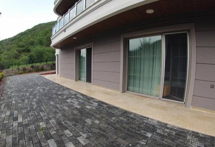 سوئیت دلوکس 2 خوابه, Voice