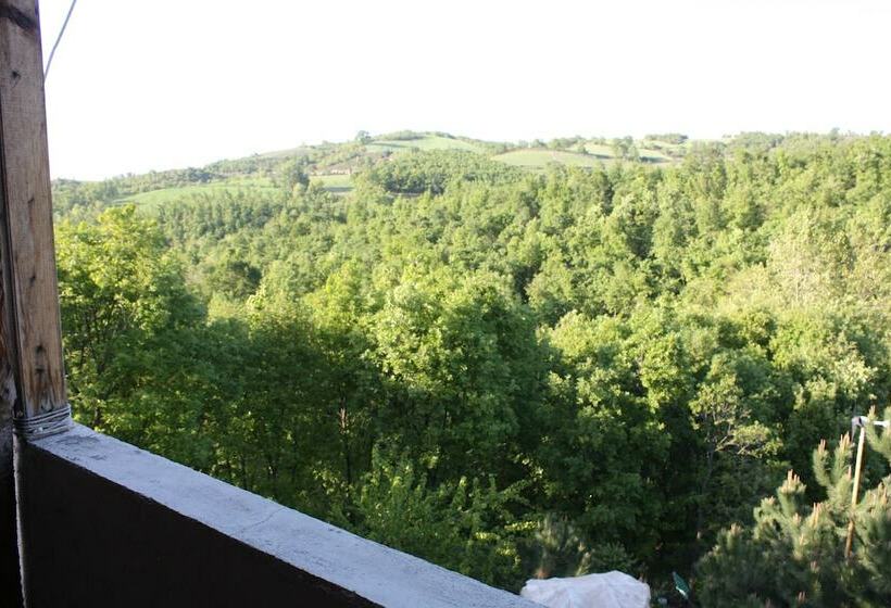 اتاق اکونومی, Kaltur Boutique Otel