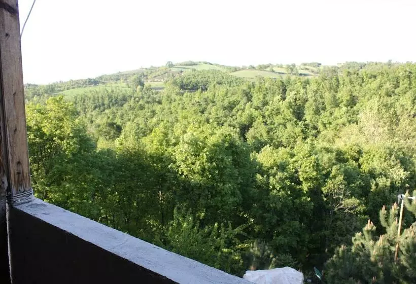 اتاق اکونومی, Kaltur Boutique Otel