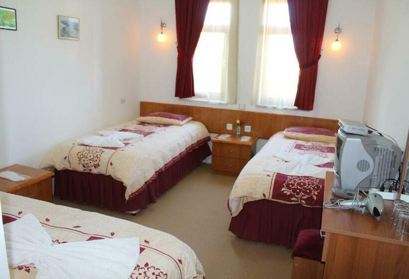 חדר סטנדרט לשלושה, Baykal