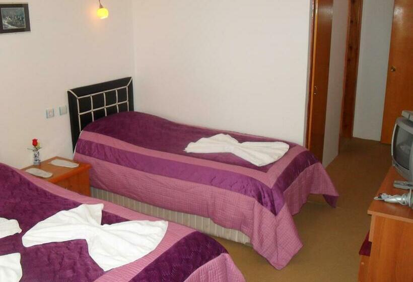 חדר סטנדרט לשלושה, Baykal