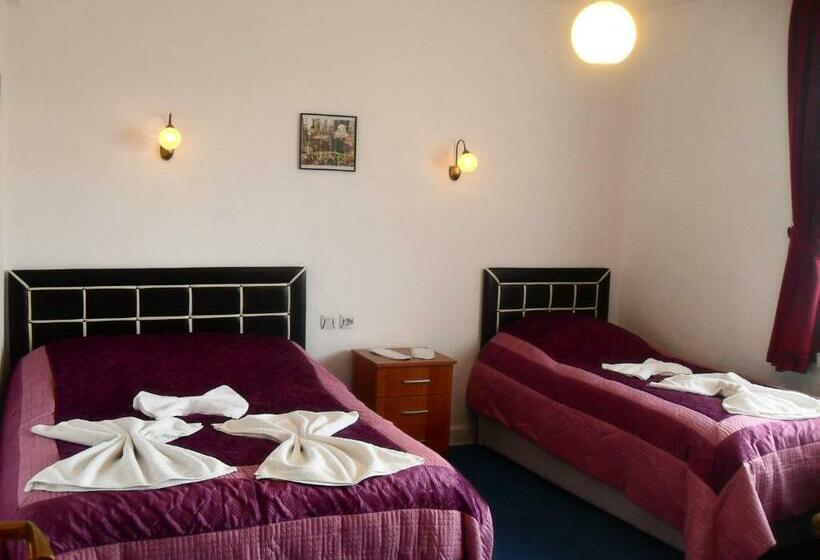 חדר סטנדרט לשלושה, Baykal