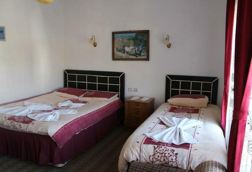 חדר סטנדרט לשלושה, Baykal