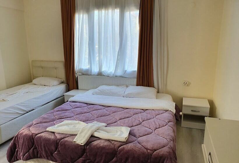 Номер Стандарт, Karya