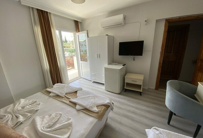 Номер Стандарт, Karya