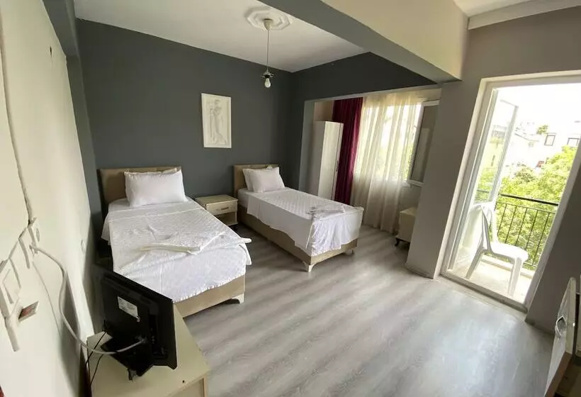 Standard-huone, Karya