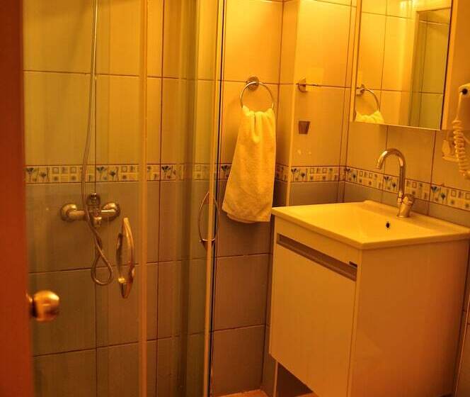 غرفة قياسية, Anadolu