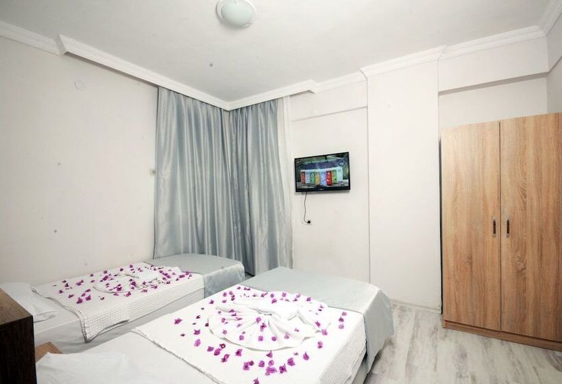 غرفة قياسية, Anadolu