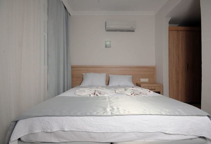 غرفة قياسية, Anadolu