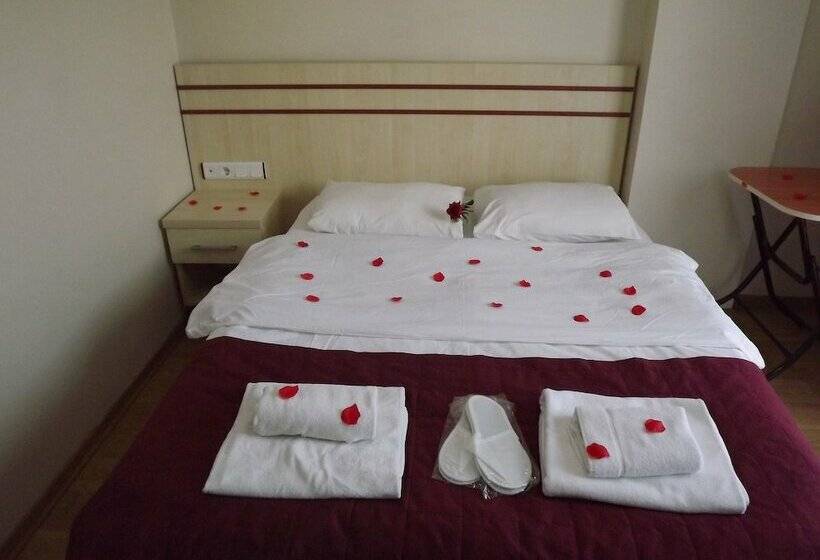 Номер Стандарт, Ayisigi