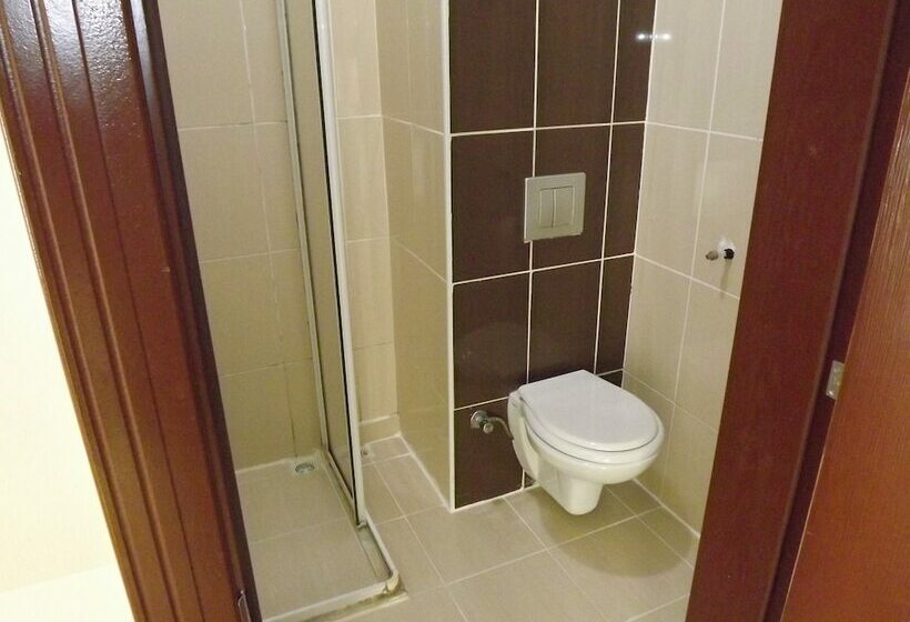 Номер Стандарт, Ayisigi