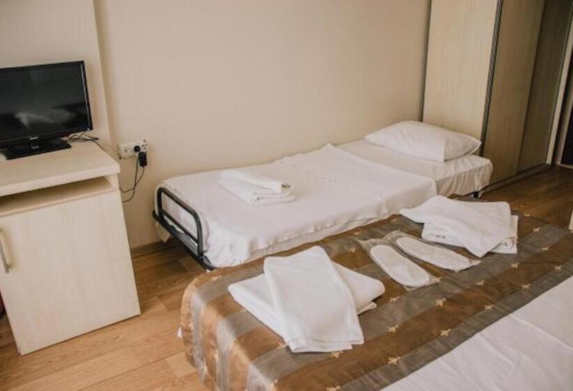 Номер Стандарт, Ayisigi