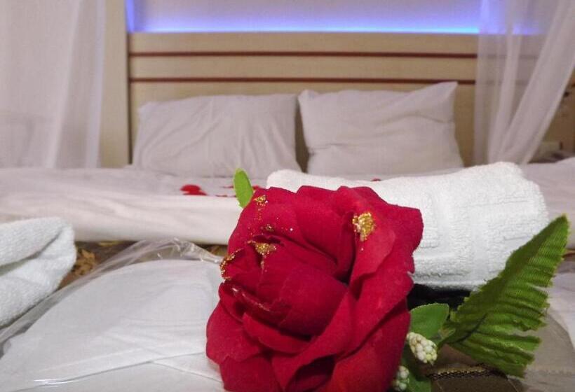 Номер Стандарт, Ayisigi