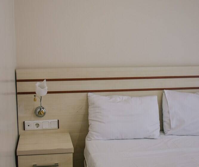 Номер Стандарт, Ayisigi