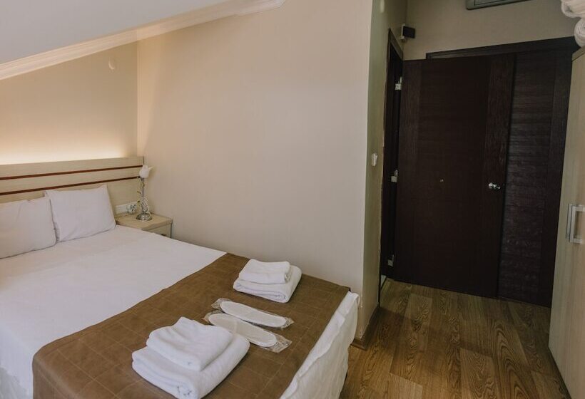 Номер Стандарт, Ayisigi