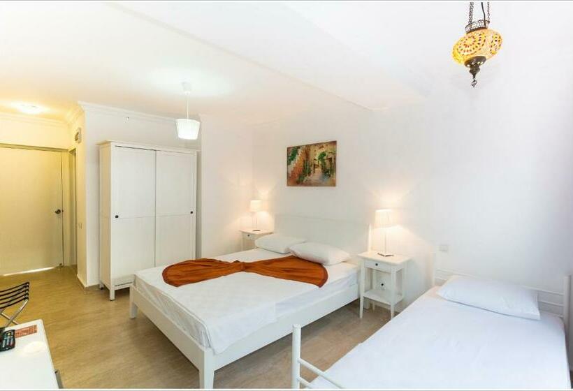 חדר סטנדרט לשלושה, Ayka