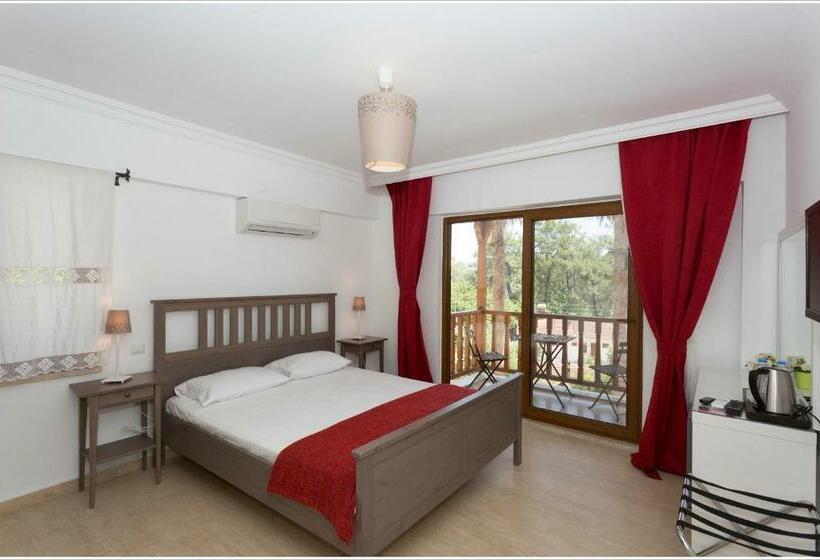 חדר סטנדרט, Ayka