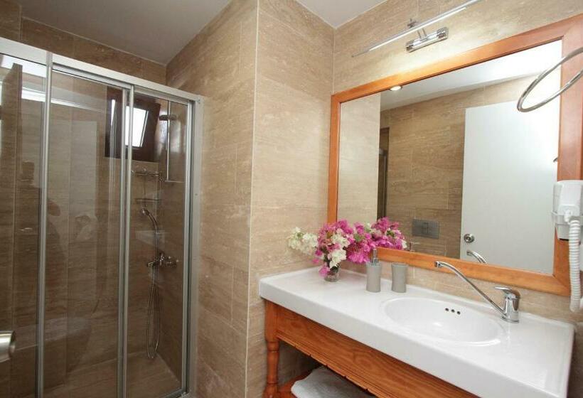 חדר סטנדרט, Ayka