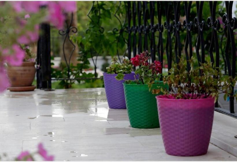 חדר משפחתי, Ayka