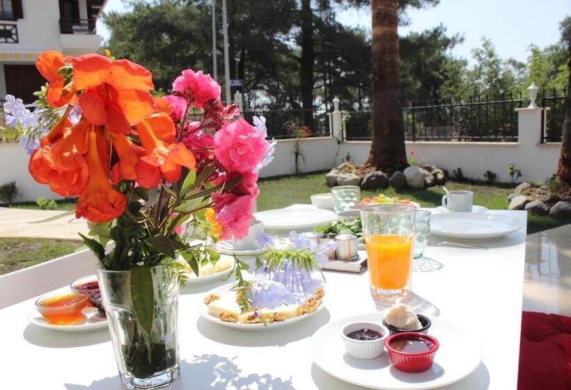 חדר משפחתי, Ayka