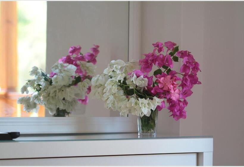 חדר משפחתי, Ayka