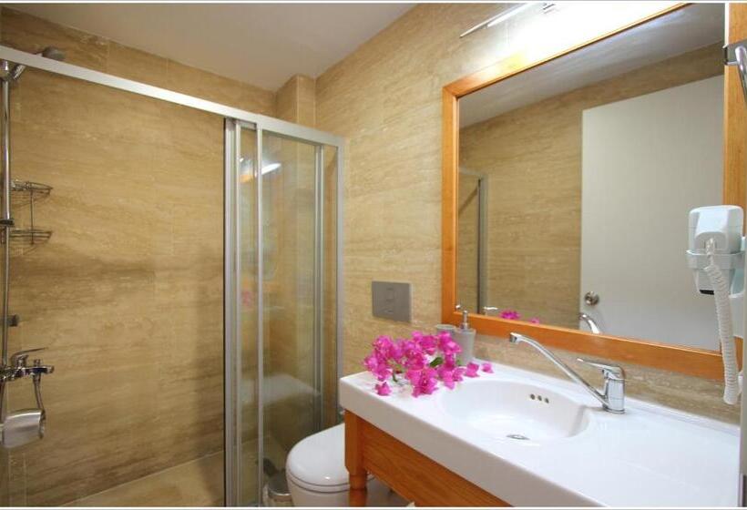 חדר משפחתי, Ayka