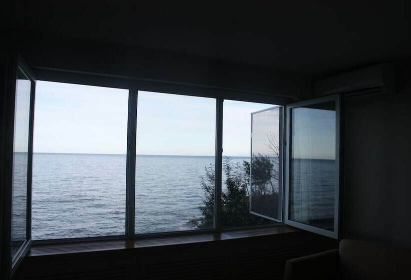 غرفة قياسية, Baliktasi